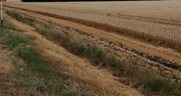 IMG-20190701-WA0003