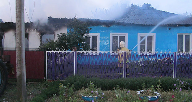 Пожар в Мартыновском районе в хуторе Лесной 24.08.2017