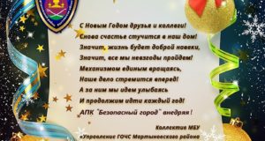 С Новым 2019 Годом. МБУ «Управление ГОЧС Мартыновского района Ростовской области»